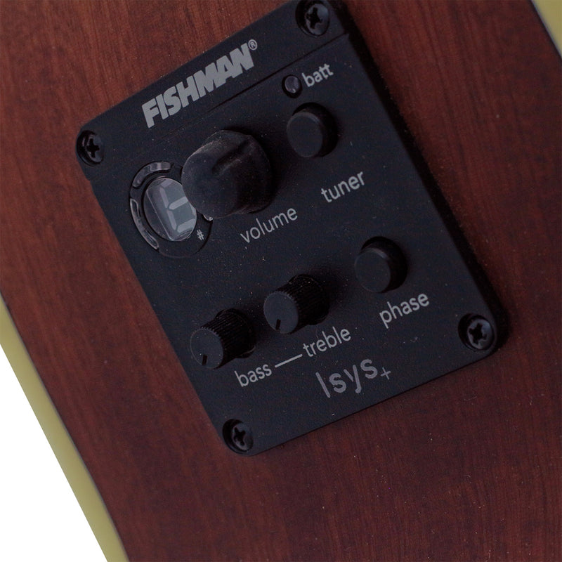 The AB-1 is equipped with Fishman Electronics.