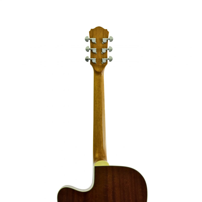 D-110CE | Acoustic Guitar