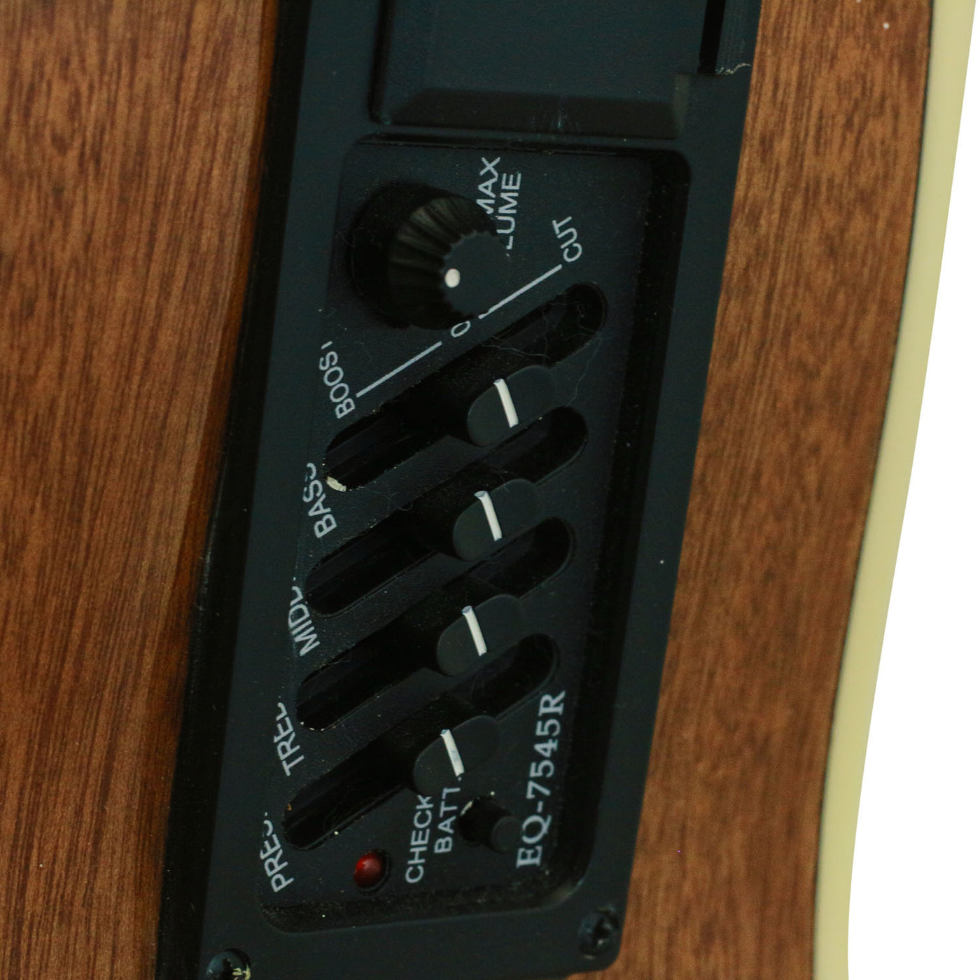 D-110CE-L | Acoustic Guitar | Acoustic Guitar – CNZ Audio